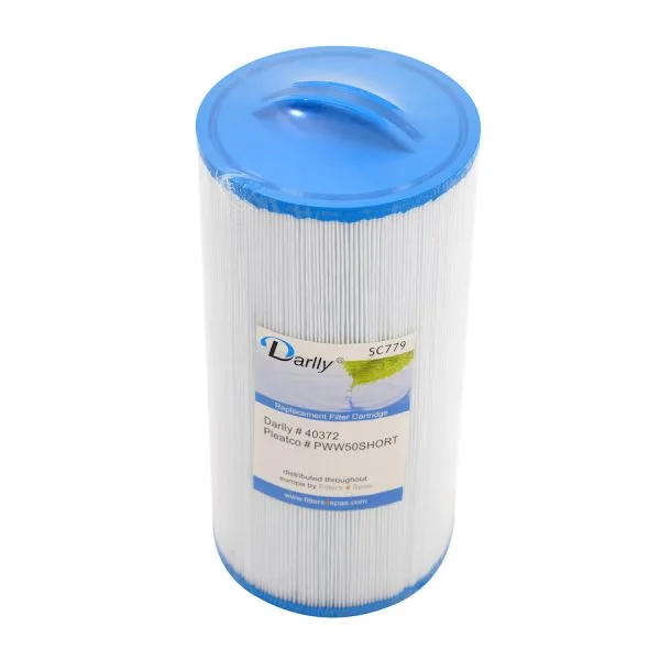 Darlly Spa filter SC779 (PWW50S)